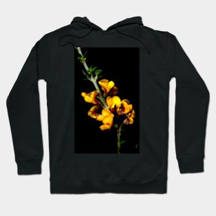 Spring Breakfast Hoodie